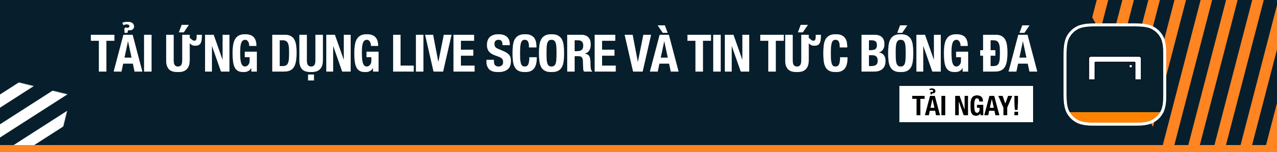 是众所瞩目 是众所瞩目