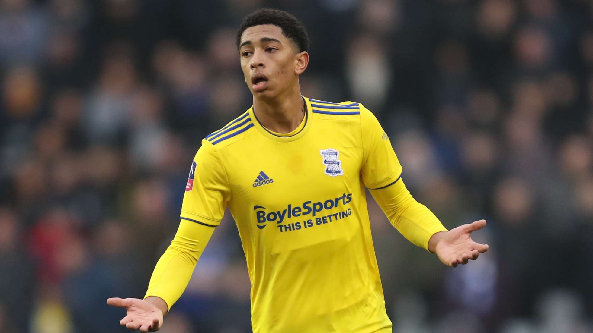 将成为未来 将成为未来